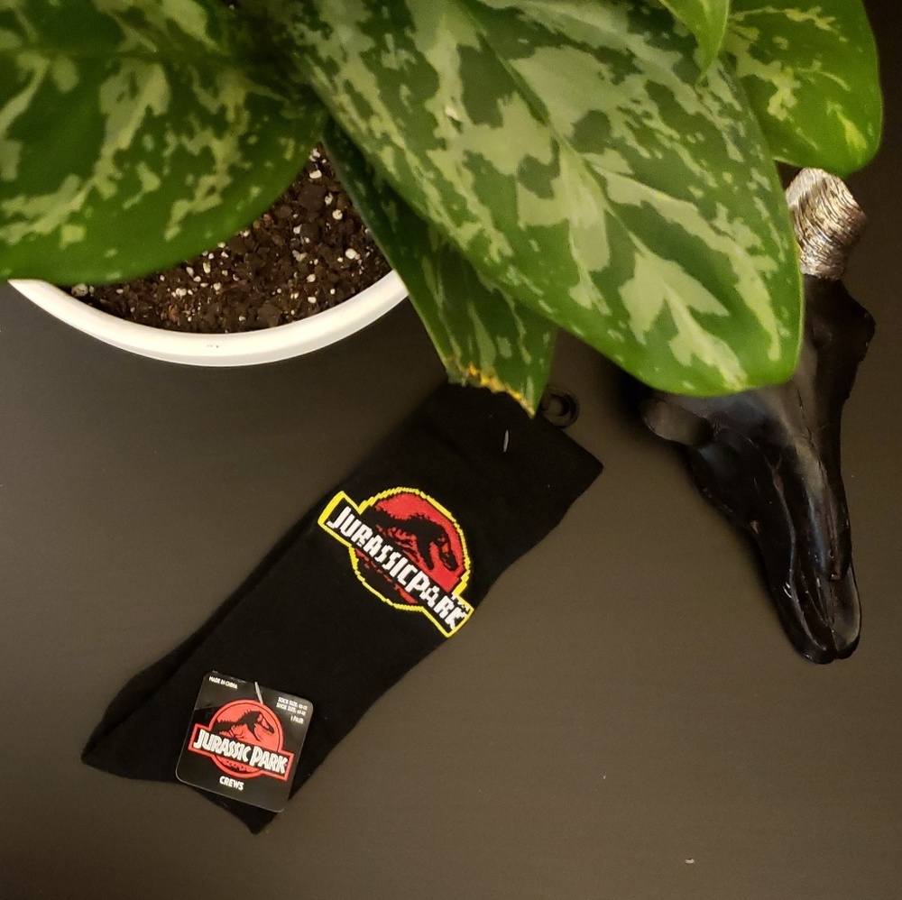 Jurassic Park Socks